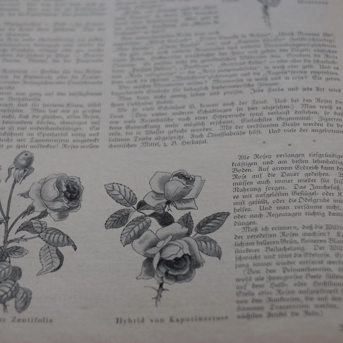 Häuslicher Ratgeber ドイツ 服飾誌 その2(1920's)