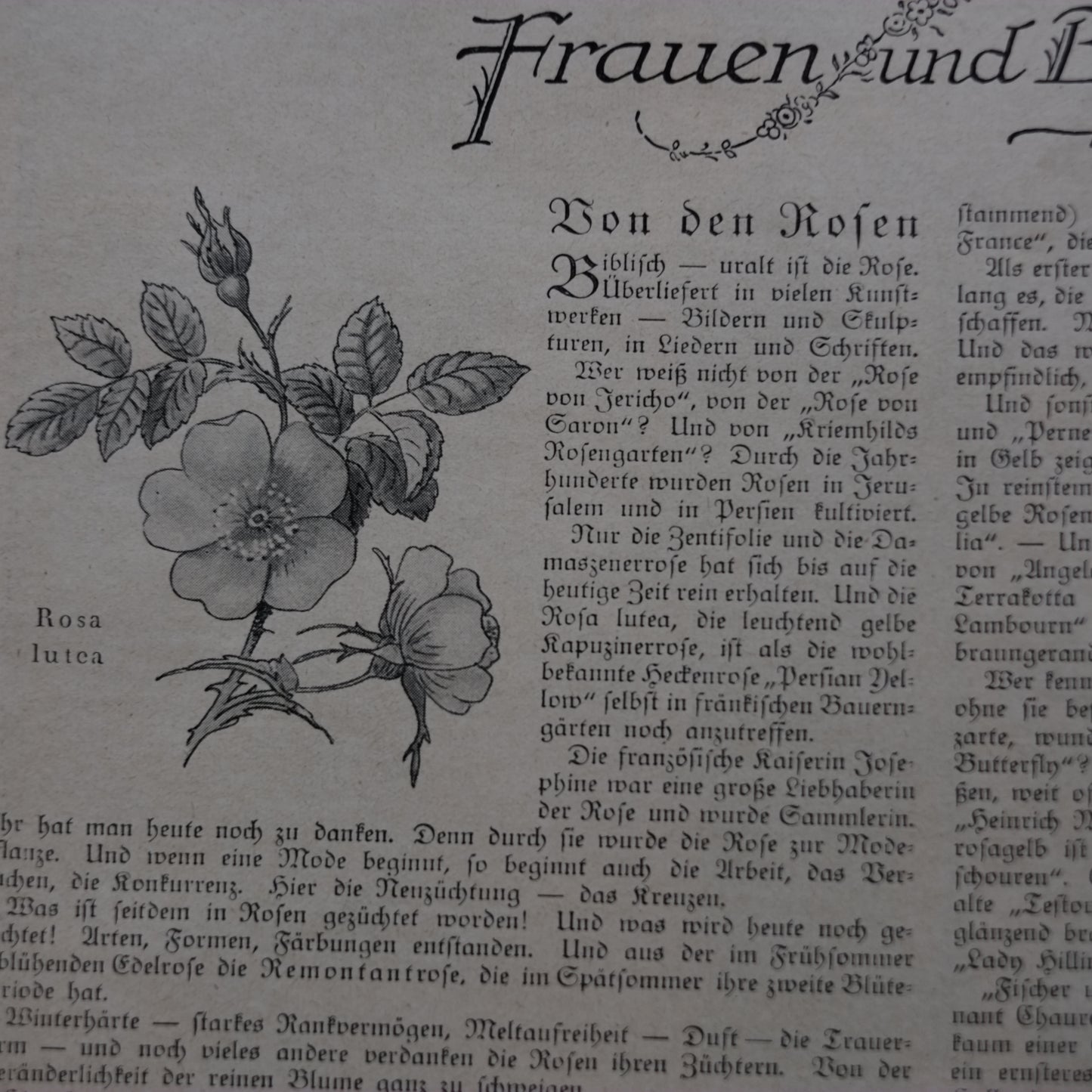 Häuslicher Ratgeber ドイツ 服飾誌 その2(1920's)