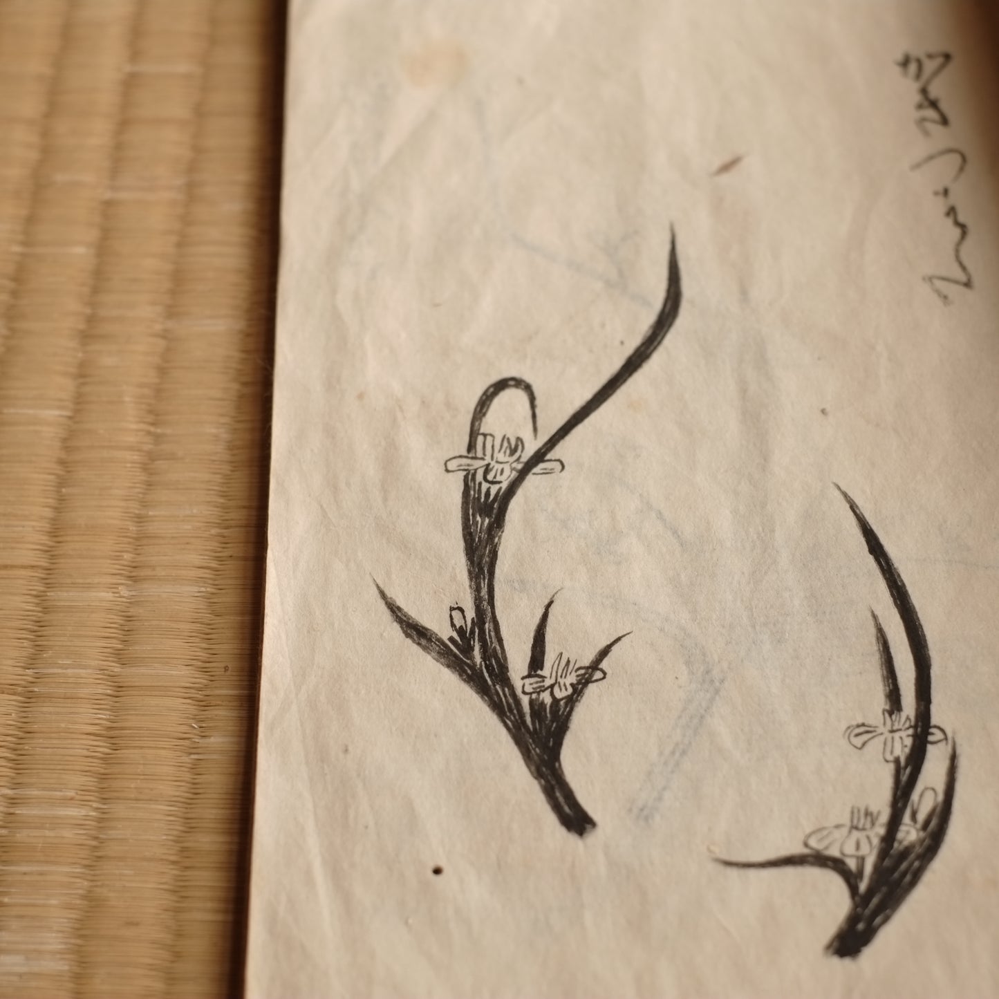時代 挿花雛形本 (明治初期)