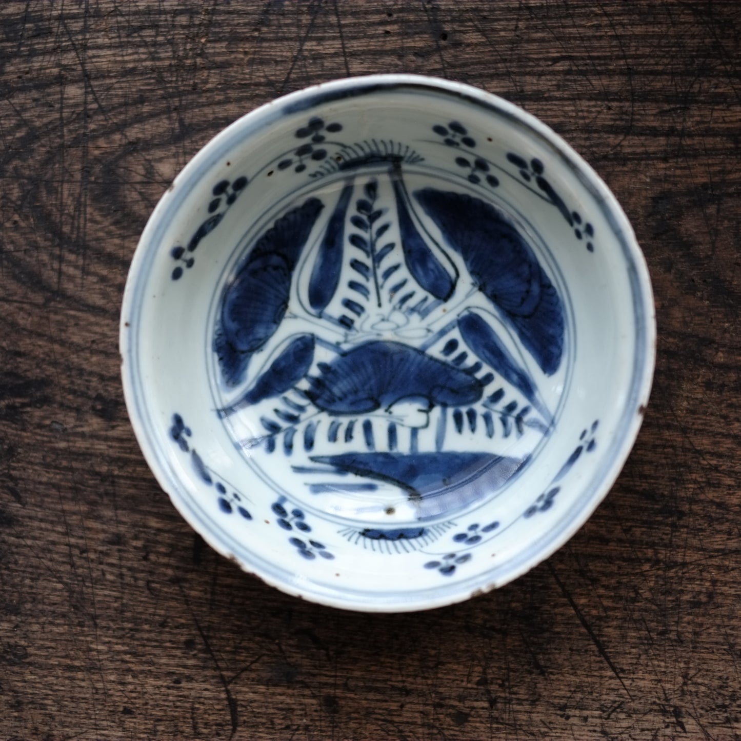 古染付 蓮子文 五寸 青花深皿(明末清初)