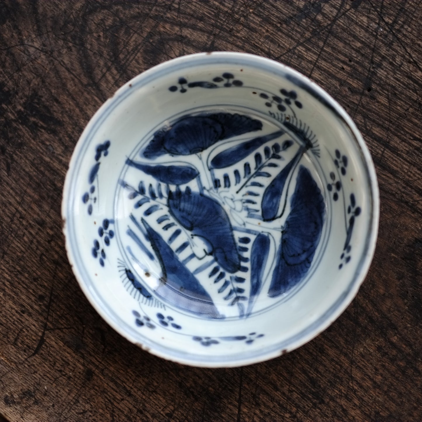 古染付 蓮子文 五寸 青花深皿(明末清初)