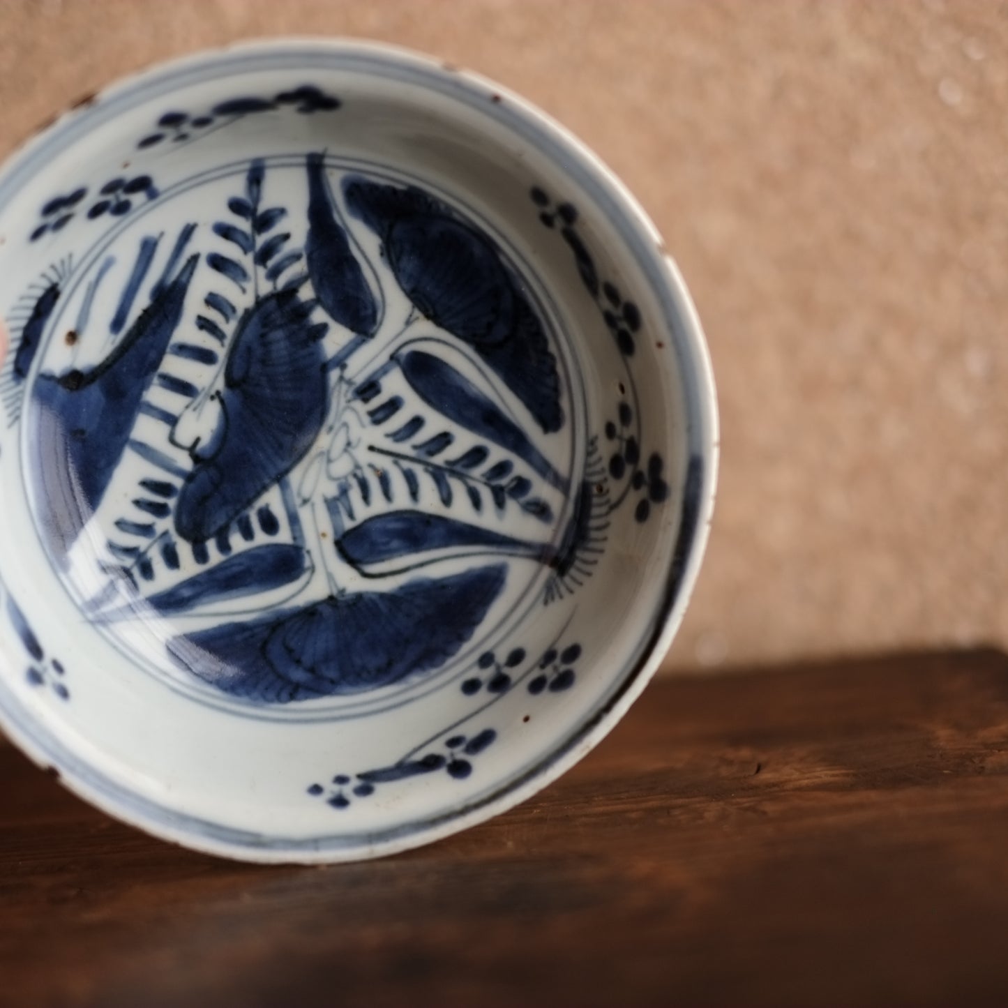 古染付 蓮子文 五寸 青花深皿(明末清初)