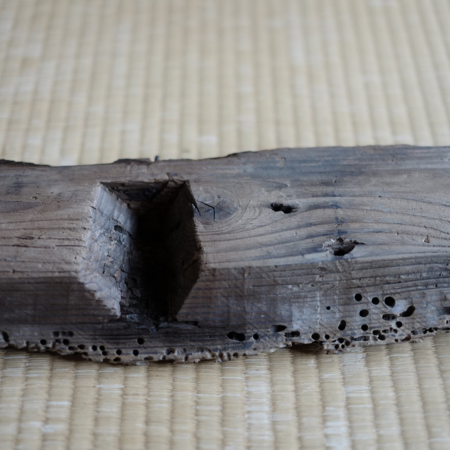 時代 虫喰侘古材舟板 (伝伊根町)
