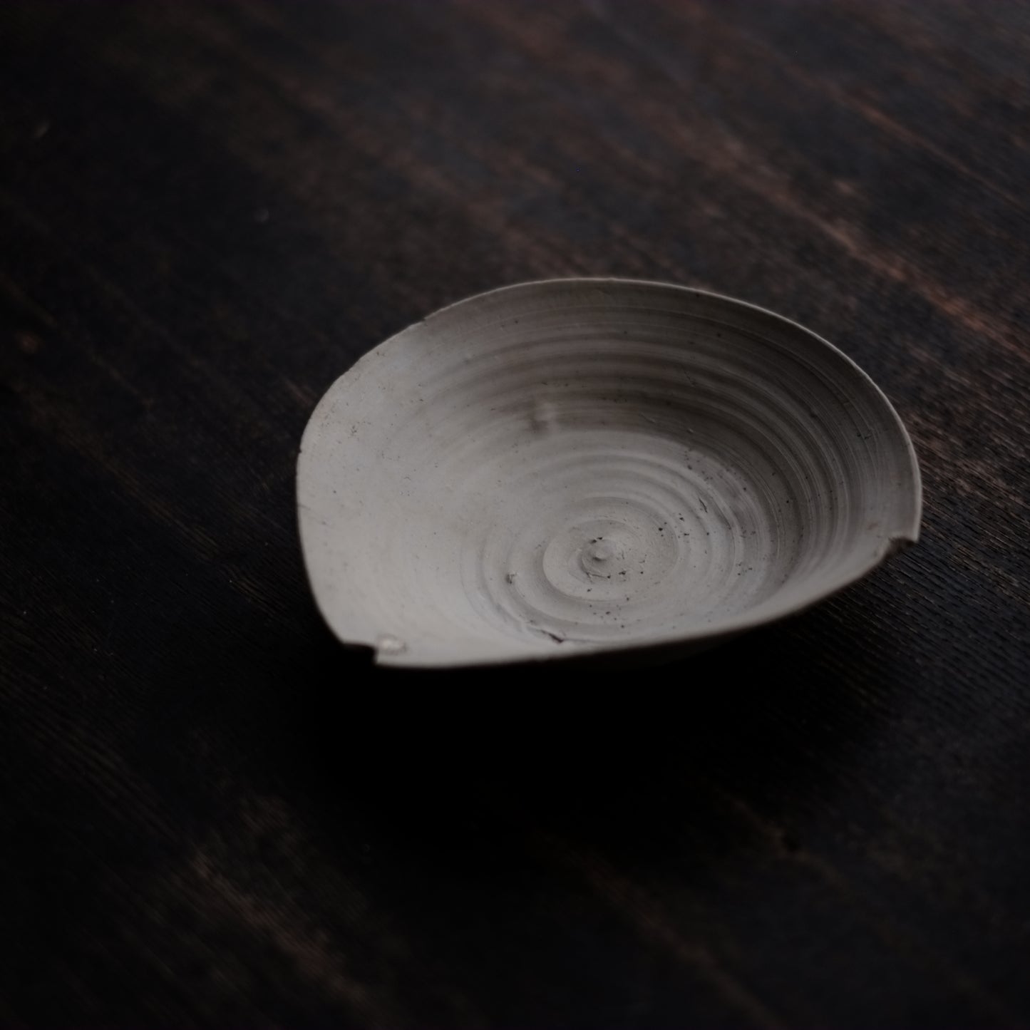 時代 美濃 山茶碗 白瓷系陶器 (南北朝-室町時代 15世紀頃)