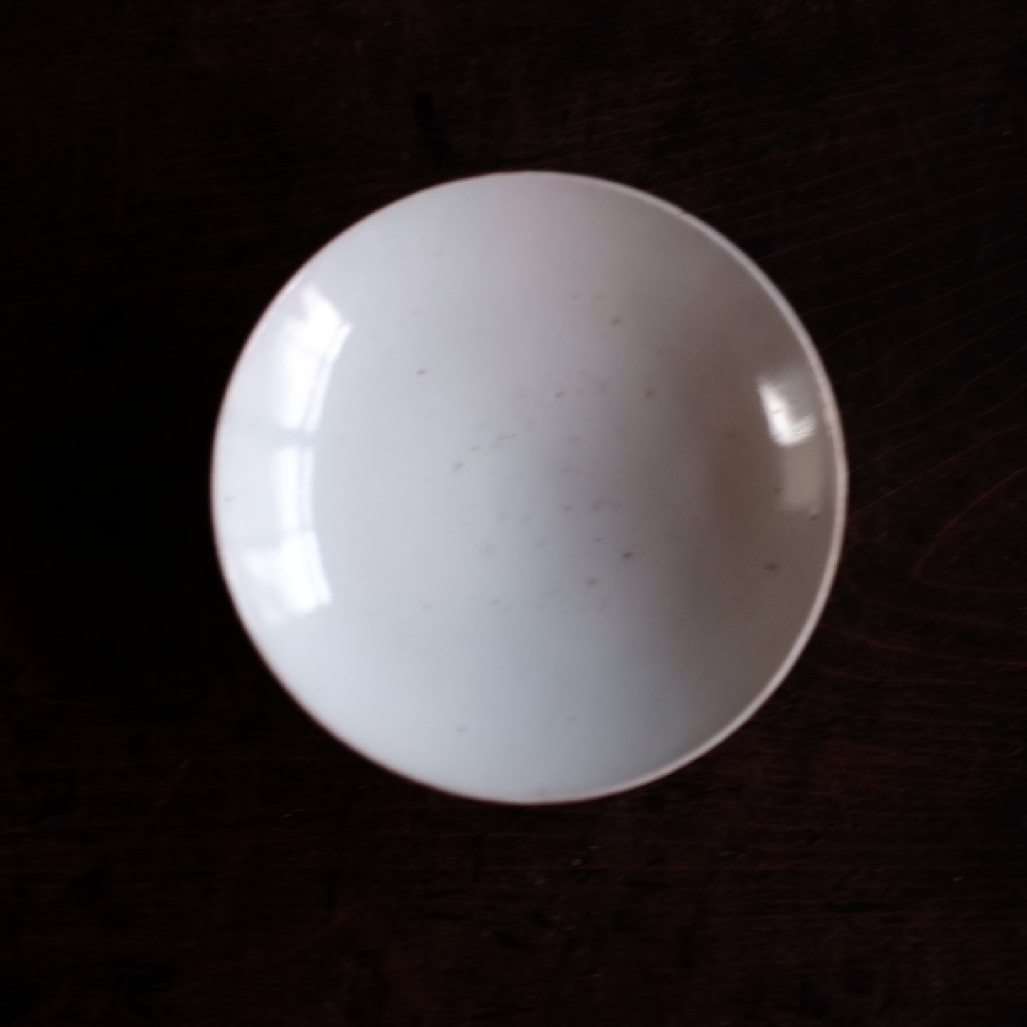 古伊万里白磁 栗図色絵 蓋付茶碗(江戸時代)