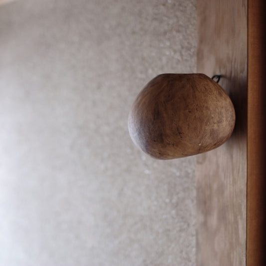 天然椰子の実 掛け花生