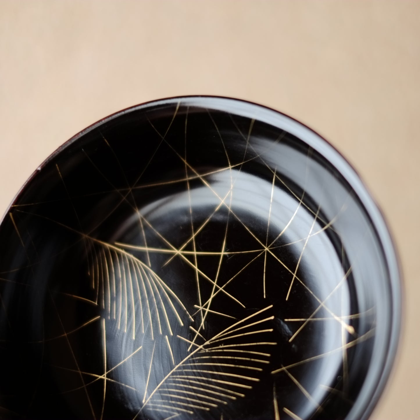 外溜内黒塗分 芒文蒔絵 小皿 5客揃 (明治時代)
