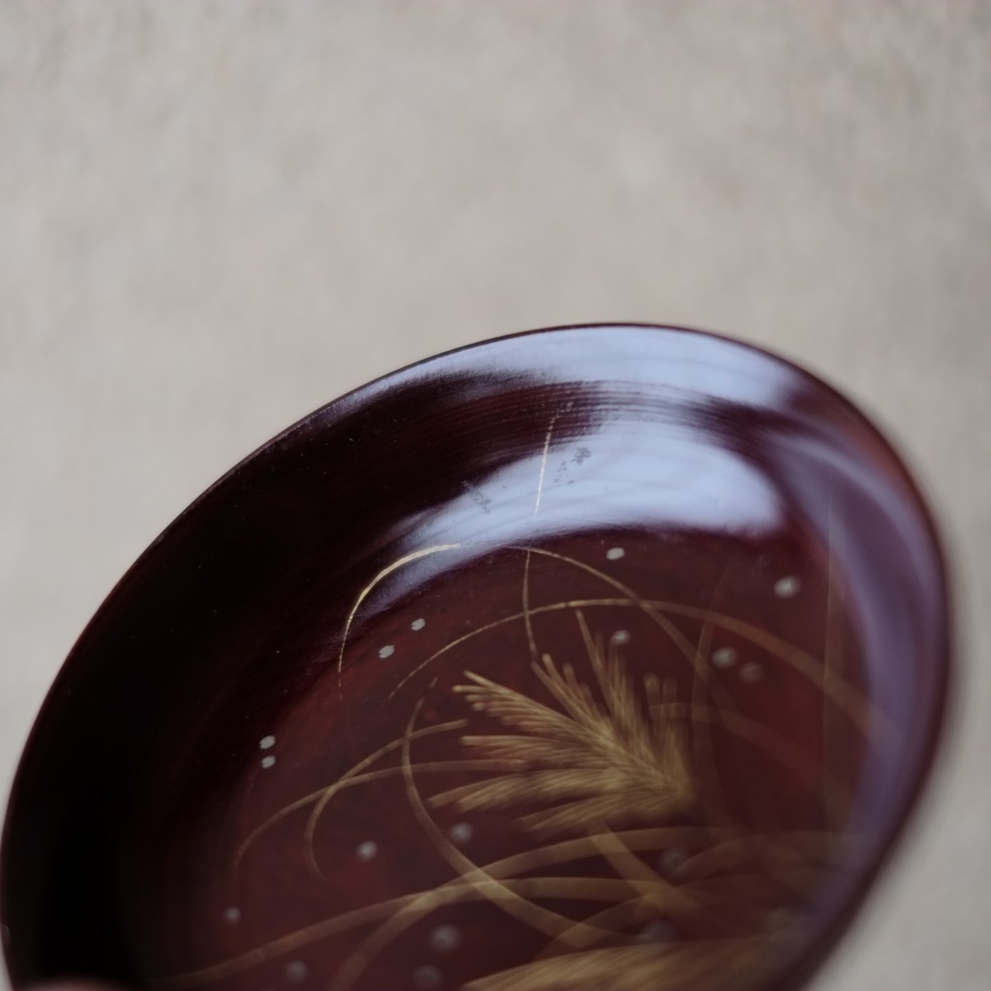 溜塗底黒 草露文蒔絵 小皿 5客揃 菓子皿