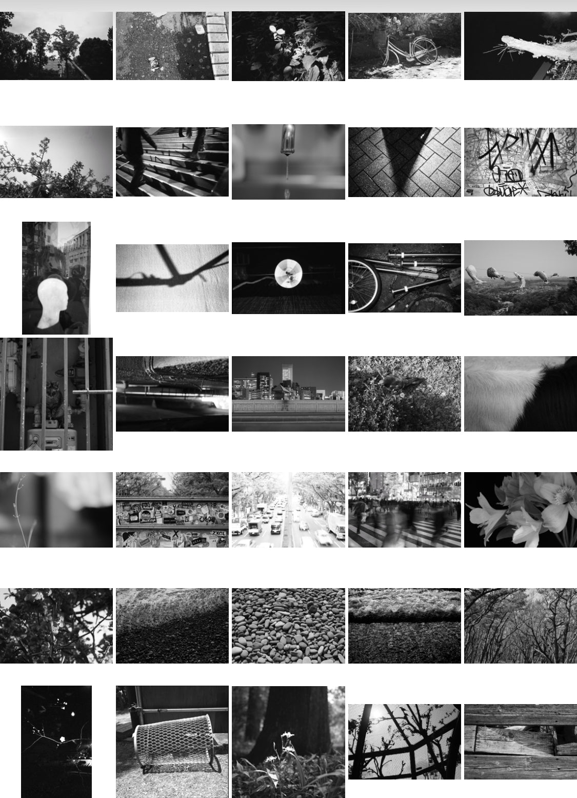 イメージフォト monochrome 60