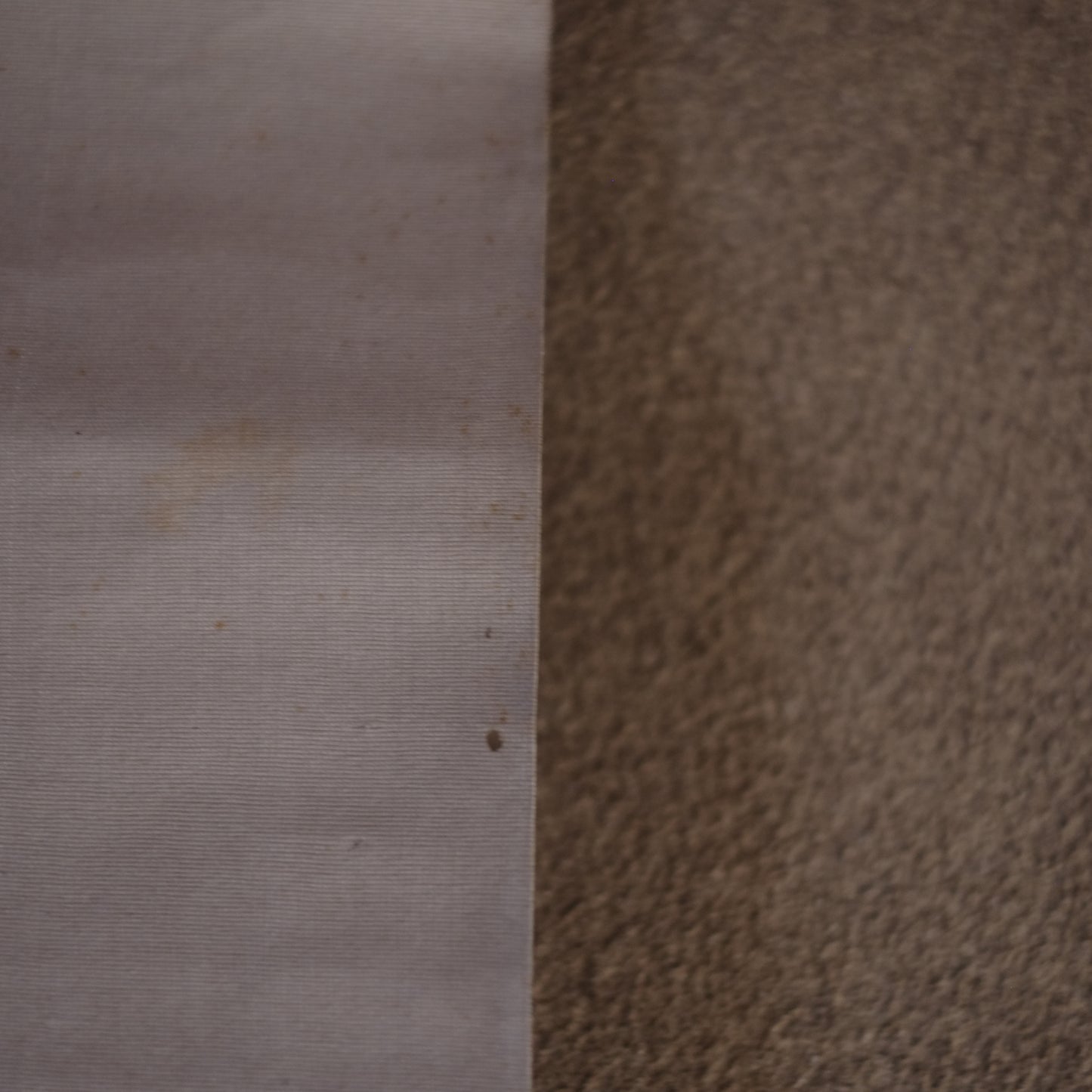 時代　紙本肉筆彩色　七福神図　掛軸 (江戸後期-明治時代)