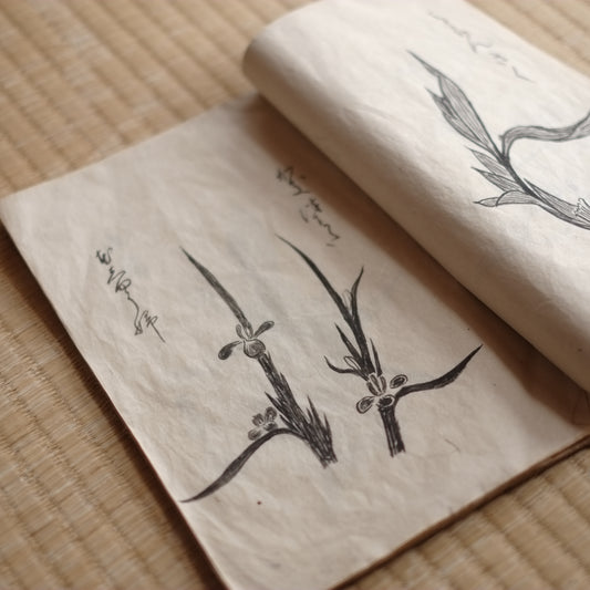 時代 挿花雛形本 (明治初期)