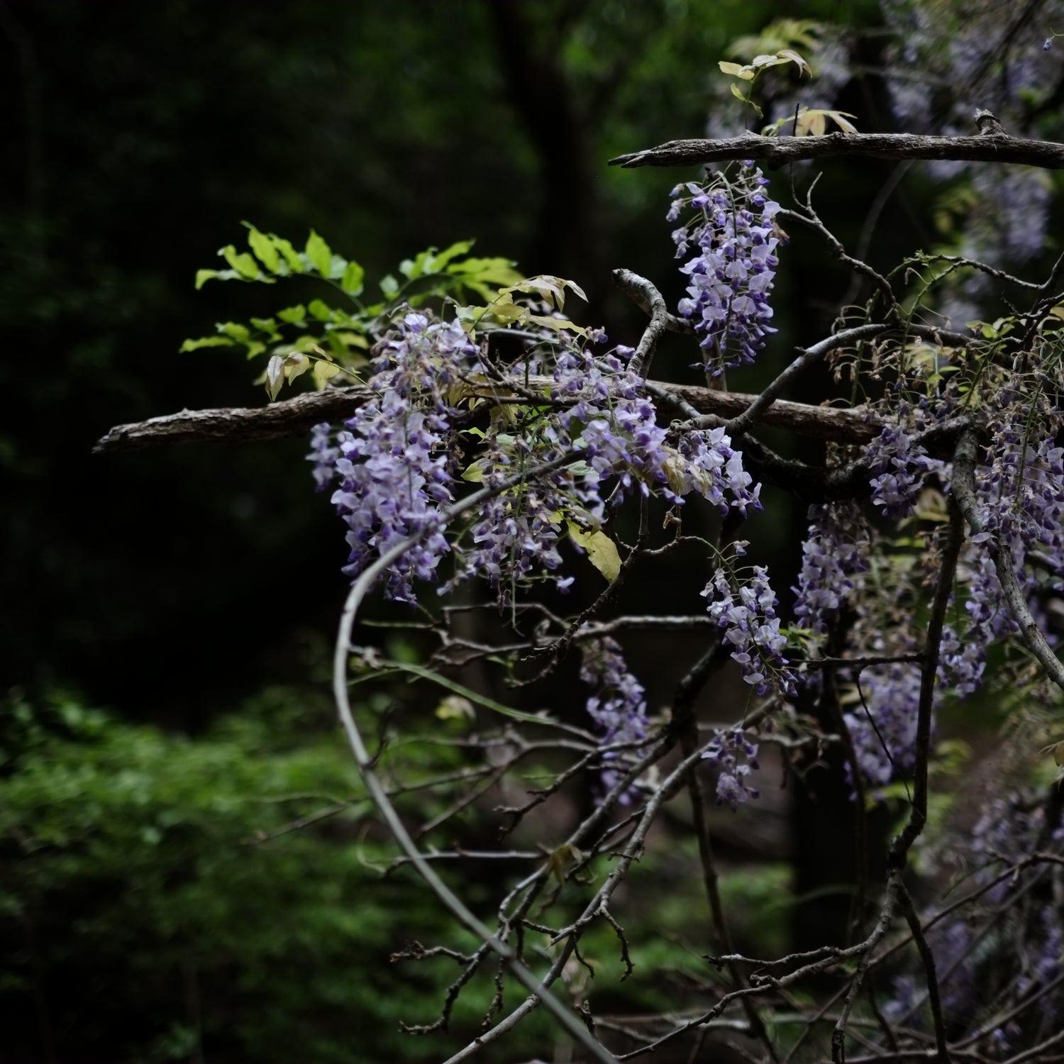 逢季荘 online shop