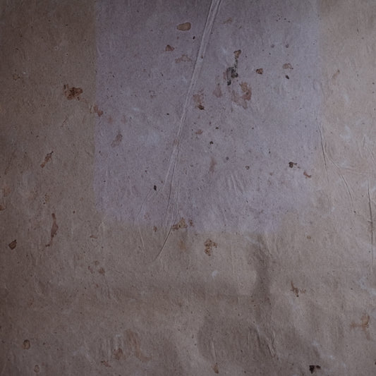 時代 フランス古紙 色染大判紙 A (20世紀)