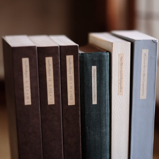 インド古典文法学・論理学文献集 サンスクリット洋書 六冊セット