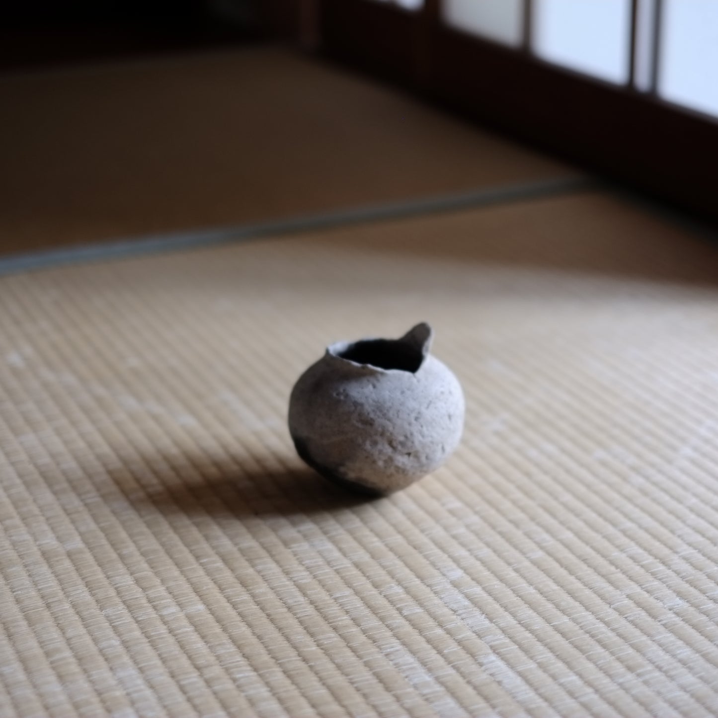 矢作川上がり　黒斑　弥生土器　(弥生時代)