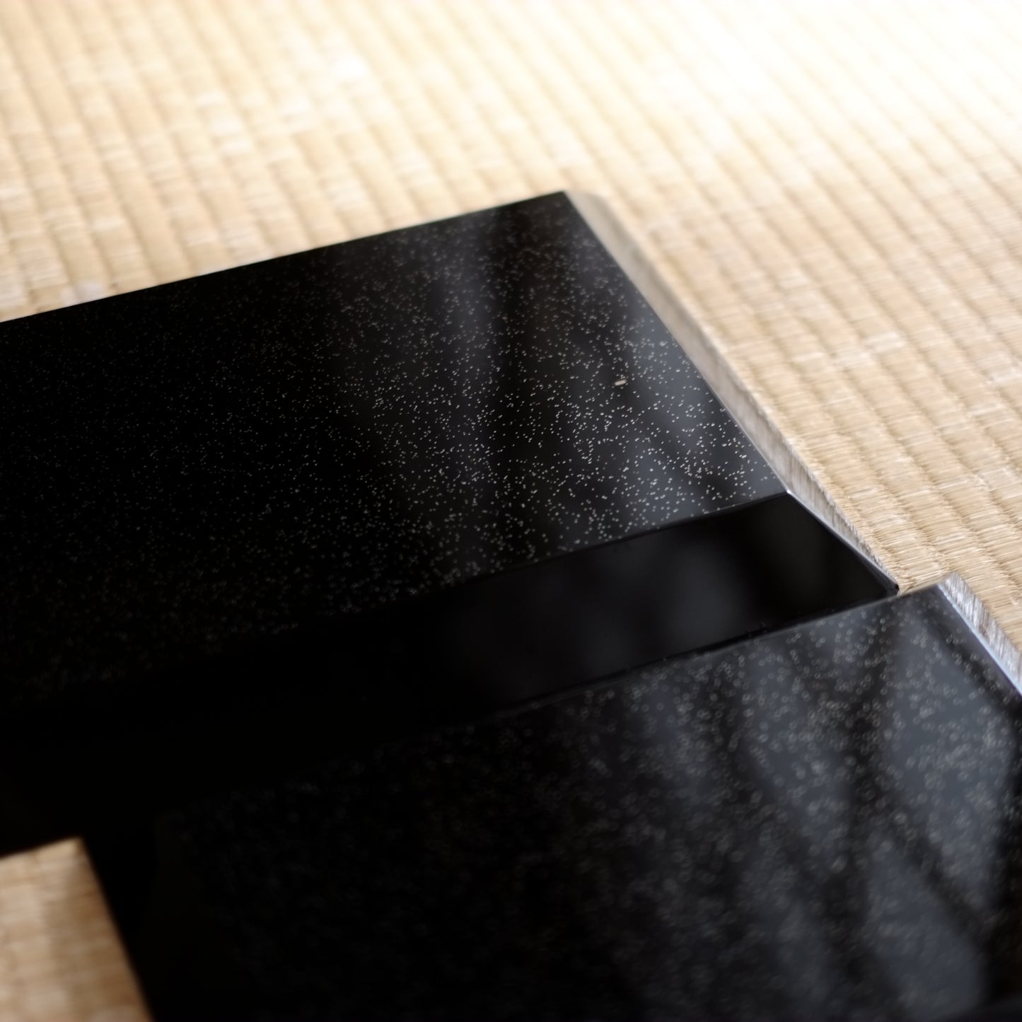 時代　黒漆真塗 裏総梨地 長角盆 対　大・小セット(19–20世紀)