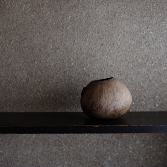 天然椰子の実 掛け花生